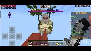 FIRST VIDEO WITH THE NORMIE GAMING ( NETHER GAMES)