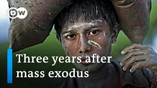 Rohingya refugees: Three years of a &lsquo;textbook example of ethnic cleansing' | DW News
