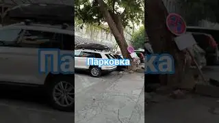 Парковка все та же