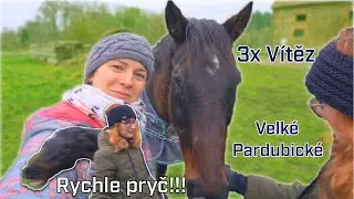 Tiumen útočí! Krmení koní a co sportovní koně a pastva?