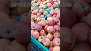 5 Mind-Blowing Facts About Apples!#apple #facts #didyouknow #viral #failydact