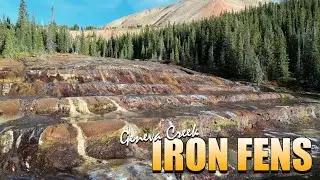 Geneva Creek Iron Fens - Pike National Forest