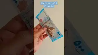 Syria 500 Pounds Banknote Collection