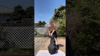Stretching intro #fitness #easyworkout #exerciseroutines #motivation #workoutplan #gymmotivation