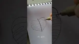 Drawing monstera leaf #drawing #art #illustration #sketch #painting #shortvideo #stepbystepdrawing