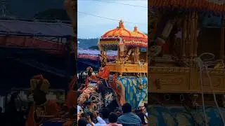 Mysore Dasara procession - A cultural spectacle MysoreDasara #GoldenAmbari #MysuruFest #Dasara2024