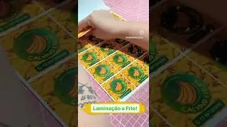 Lamina&ccedil;&atilde;o a frio! #lamination #papelariapersonalizada #foryou #viral #viralvideo #shorts