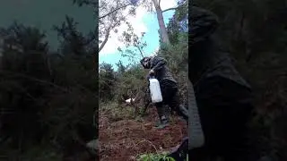 Nz weed grow. check up on PATCH 3. won some lost some