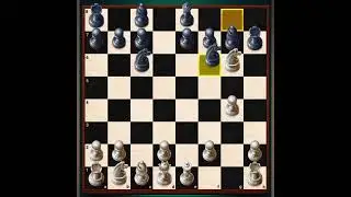 Human vs computer who will win (Chess YT)