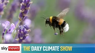 Are we taking biodiversity loss seriously?