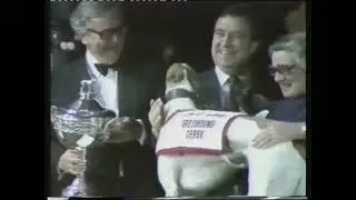 1983 GREYHOUND DERBY FINAL - IM SLIPPY