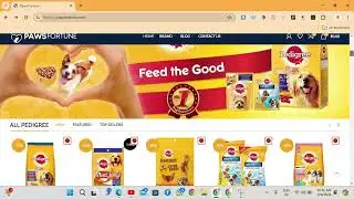 Pawsfortune   Ecommerce Website Design & Development Services  Shree Ganpati Media Portfolio