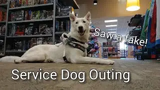 We saw a fake! | Service Dog Outing | Mall, Book Store | Alerts and Tasking