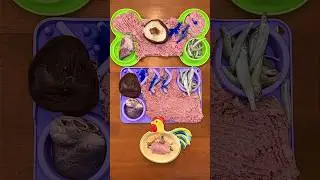 Кормлю своих трёх собак сырым кормом 🥩🍄&zwj;🟫🐟 #шорты