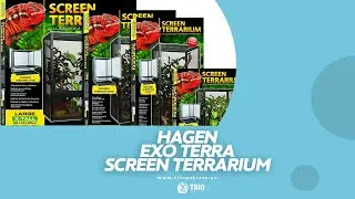 Exo Terra Screen Terrarium | Hagen Terrarium | Quick Review | Trio Pet Care | Dubai | UAE