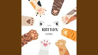 Cute Kitten Song