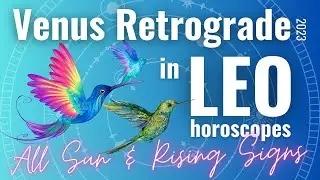 EP139 Venus Retrograde in Leo 2023 Sun and Rising Horoscopes ALL Zodiac Signs