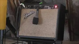 1966 fender champ