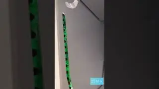Earn $200 each day intelligent vending machine
