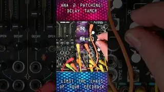 ANA Patch Bites ~ Delay Tamer #mysticcircuits #mysticcircuitsana2 #makenoisemusic #makenoisemultimod