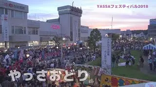 【東金の記録】YASSAフェスティバル2018～やっさおどり～