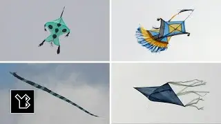 Kite Photos from Sri Lanka - Airborne Elegance Captured Over Kotte Horizon