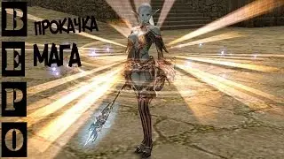 Lineage 2 Classic . Как Быстро Апнуть 40 ЛВЛ за МАГА!