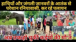 हाथियों और जंगली जानवरों के आतंक से परेशान रनियावासी, कर रहे पलायन 