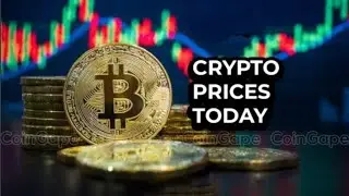 Market Moves: MANTA Emerges Victorious as Bitcoin & Pepe Coin Take a Dip Today