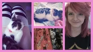 BN Biscuits, Avengers pajamas & Meet Buddy