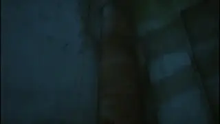 STRAY - A Little Chatty Trophy