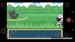 Escolhendo um inicao e indo pra Veridian | Pok&eacute;mon Reboot!