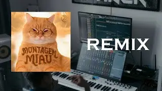 MONTAGEM MIAU REMIX