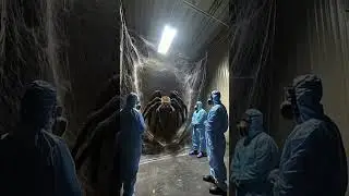 Area 51 Horror: Classified Experiment Unleashed Terror! 🚨🧬