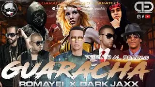 Guaracha 2022 🤯 Tributo al Perreo - Romayei feat Dark Jaxx
