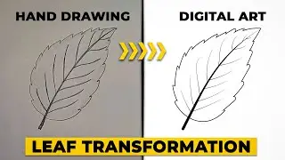 Hand Drawing to Digital Art &mdash; Simple Leaf to Clean Vector
