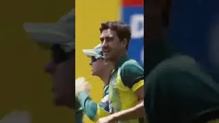 Highlights: Australia v India, msg #cricket #highlightsmatch