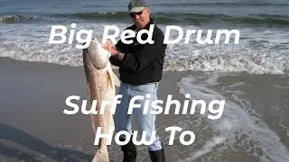 Big Red Drum (Redfish) - Complete Guide - Surf Fishing