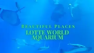 Lotte World Aquarium || Beautiful Fishes [ 4 K upload ]