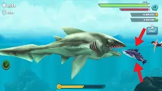 Hungry Shark Evolution - Giant Monster Electro Shark Vs Enemy Sharkjira - Real Gameplay