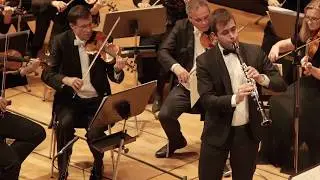 Franz Danzi - Fantasy on 
