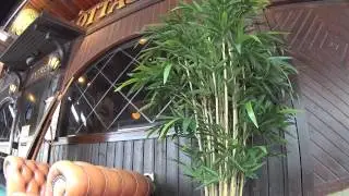 The No-Action Camera #3
