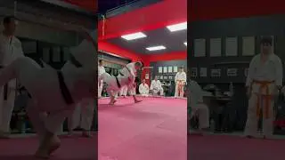 Wado Ryu Karate is a complete fight method that does adapt to the competition rules #martialarts