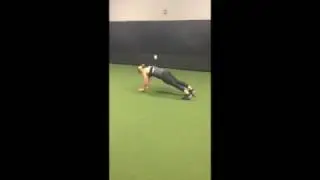 Reverse Seal Walk on Sliders/Forward Seal Walk on Sliders