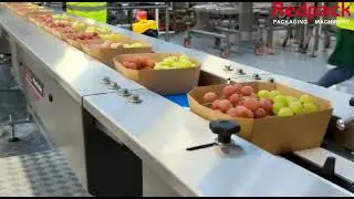 Redpack P325E Horizontal Flow Wrapper Packaging Punnets of Grapes | www.ProPac.com