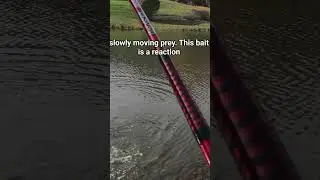 The Spinnerbait Hack &ndash; How to Fish a Spinnerbait   #bassfishing