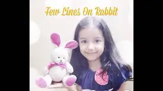 Few Lines On Rabbit for class 1