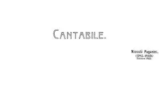 Cantabile, Op. 17, MS 109 - Niccol&oacute; Paganini || Violin and Piano Ver. (Score Video)