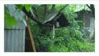 MELLOW FOX - Backyard *LOFI MUSIC*