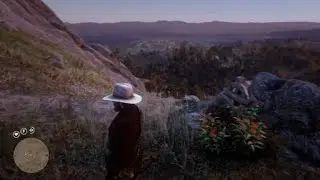 RDR2: Finale segreto completamento 100%